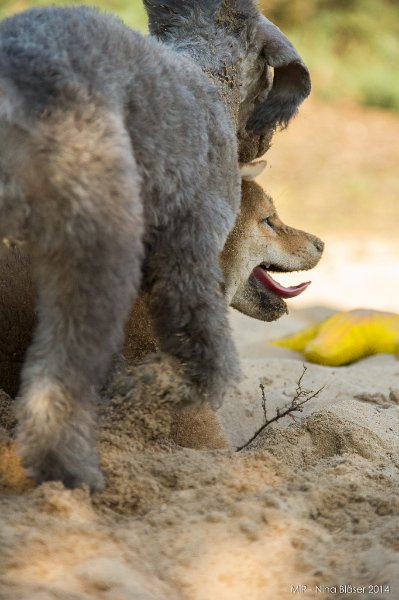 2014-07-17 Cherry & Friends-8291.jpg